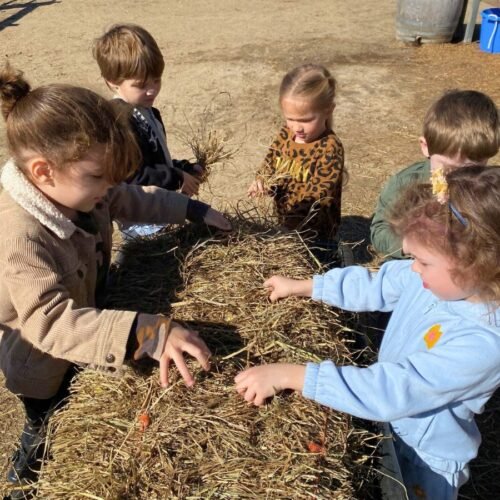 Kids Playing with Hay Stack
